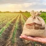 images - 2025-03-30T123931.792