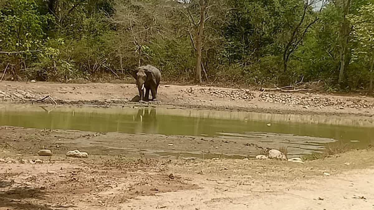 1200-675-23953630-thumbnail-16x9-hg