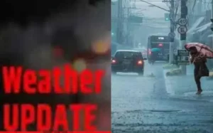 Screenshot_2025-04-11-10-47-40-43_7ecc343528d84aae1423bfb8eca3bd44