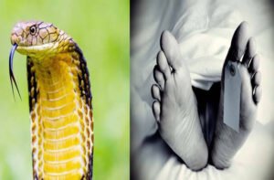 images - 2025-04-21T064307.794