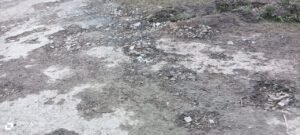 1001358282