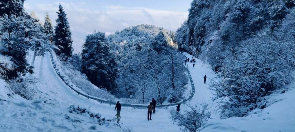 nainital-snowfall-2025.jpg