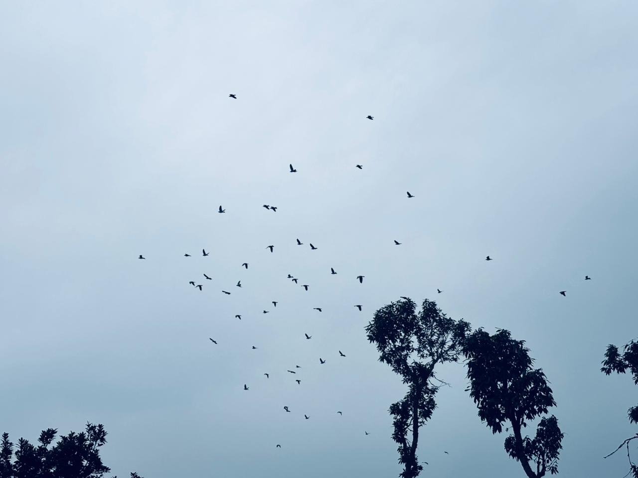 1002235144