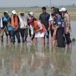 katharaya-kashha-matara-shavaraja-saha-cahana-patanagara-pahaca_d63cec0e97f81bc94b2f109fe40b7c67_11zon-780x470