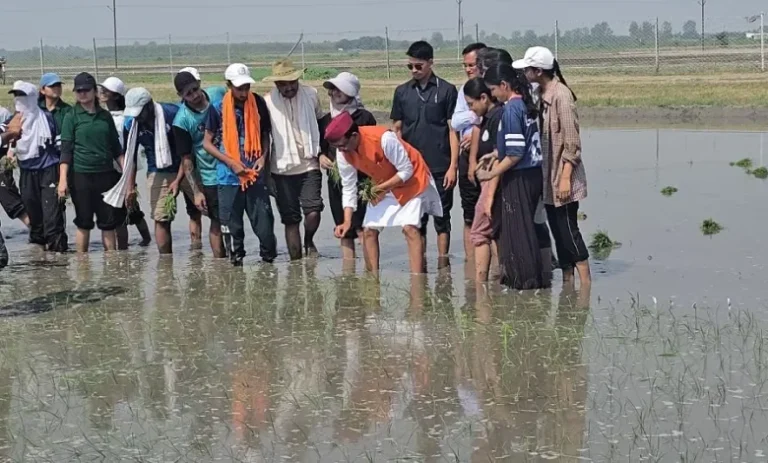 katharaya-kashha-matara-shavaraja-saha-cahana-patanagara-pahaca_d63cec0e97f81bc94b2f109fe40b7c67_11zon-780x470